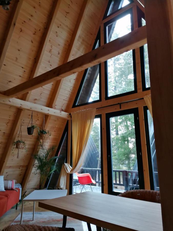 Zlatair Chalets Villa Nova Varoš Buitenkant foto