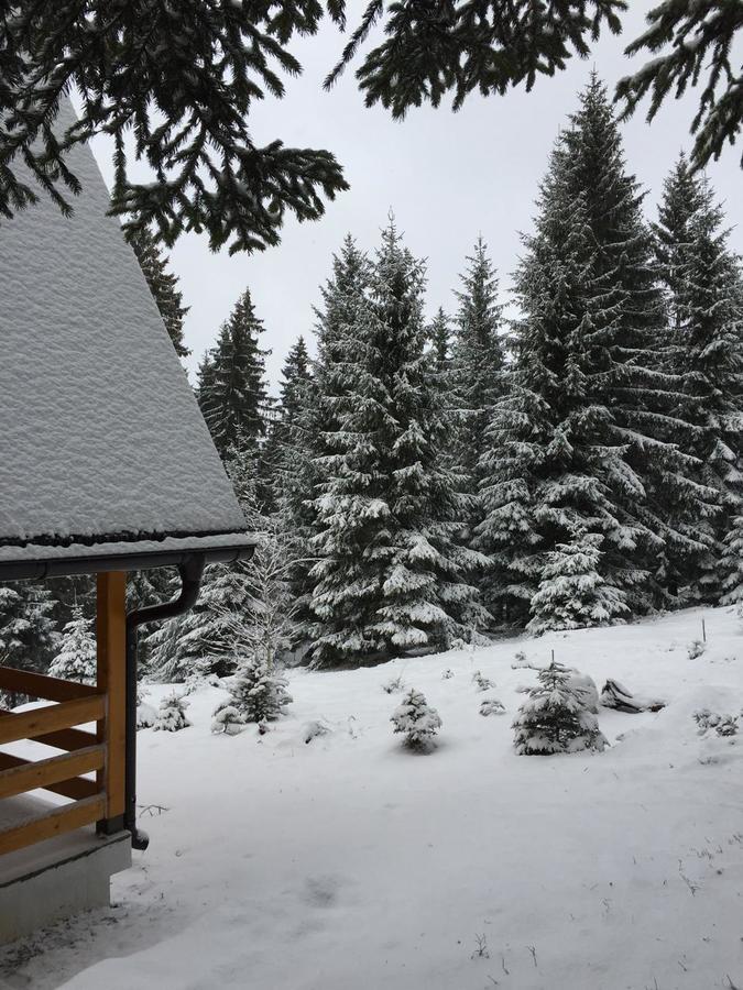 Zlatair Chalets Villa Nova Varoš Buitenkant foto