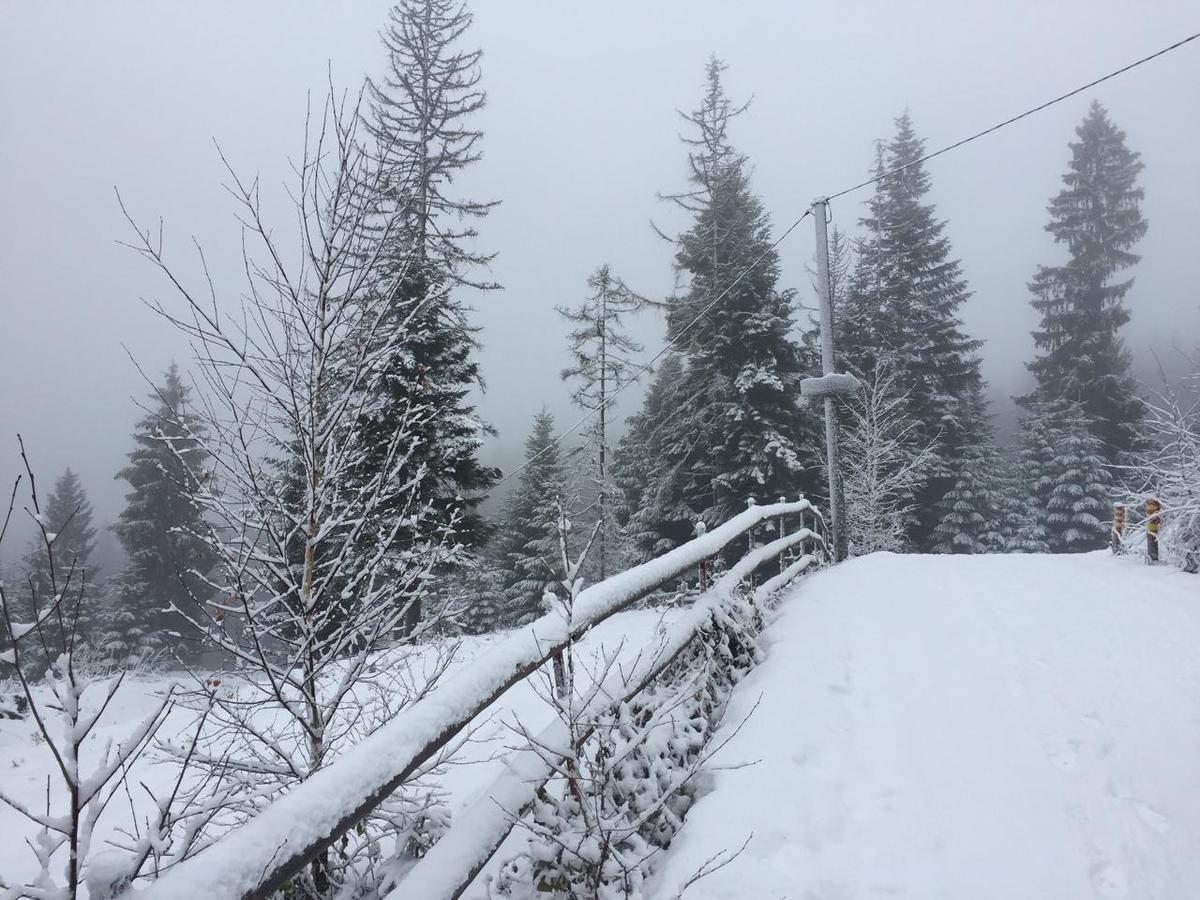 Zlatair Chalets Villa Nova Varoš Buitenkant foto